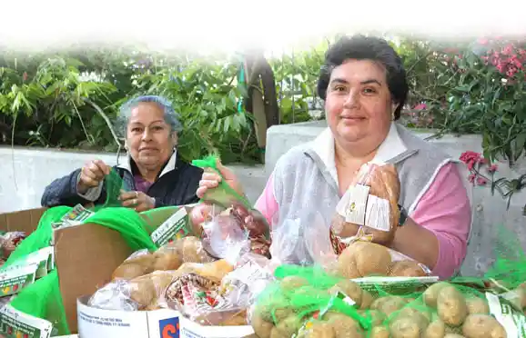 Women working at food pantry