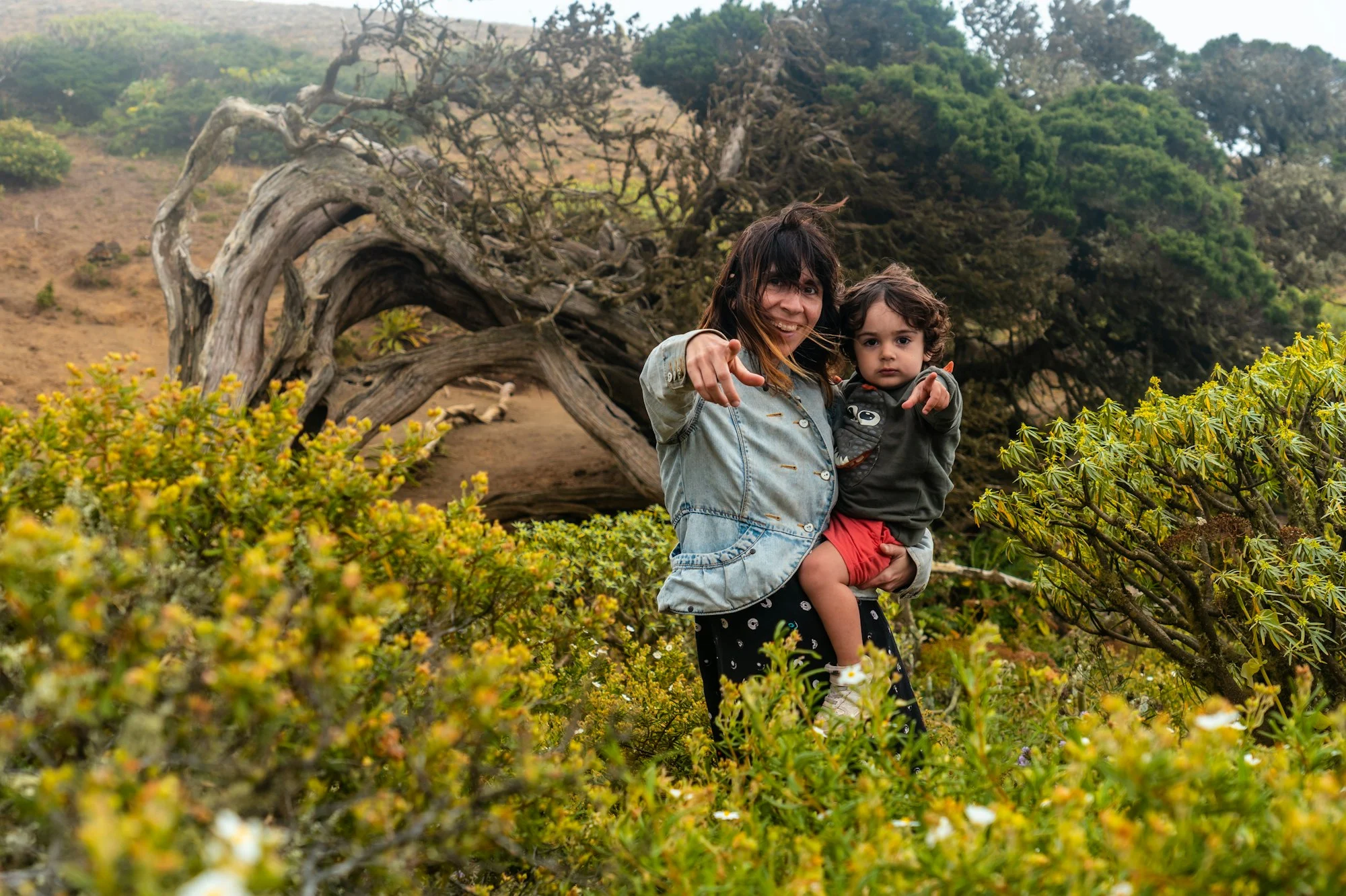 Mother and son looking at the flowers next to a Sabinar tree twisted by the wind of El Hierro